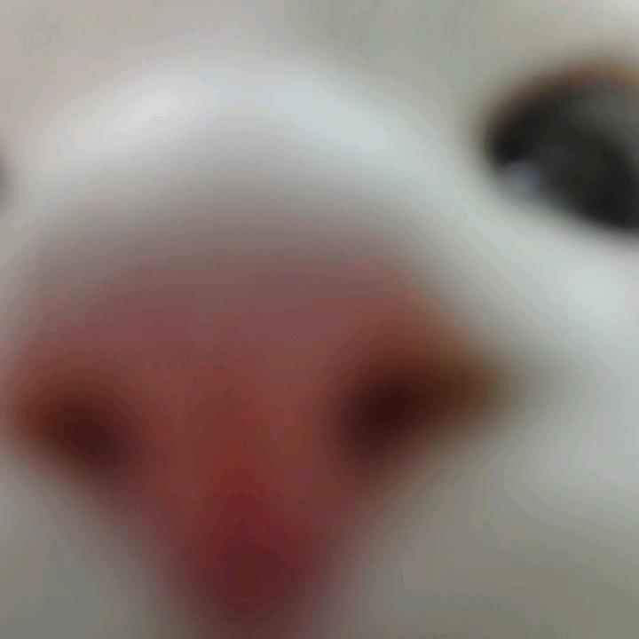 醒醒别睡了丶