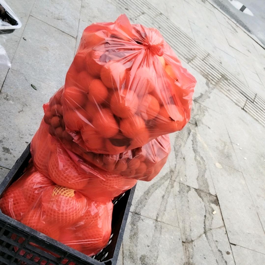 想也别想