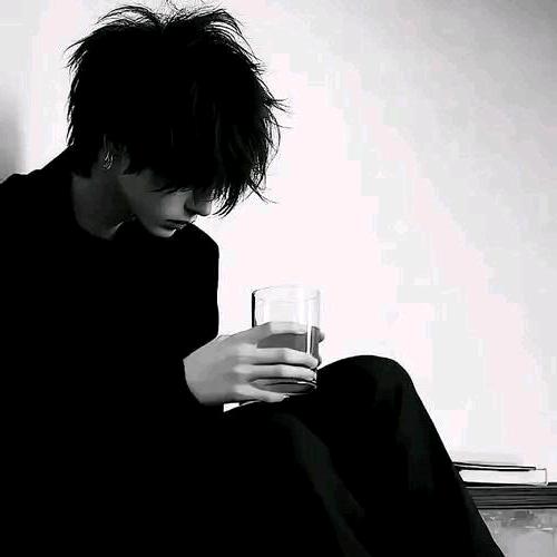 一只猫的旅行👣