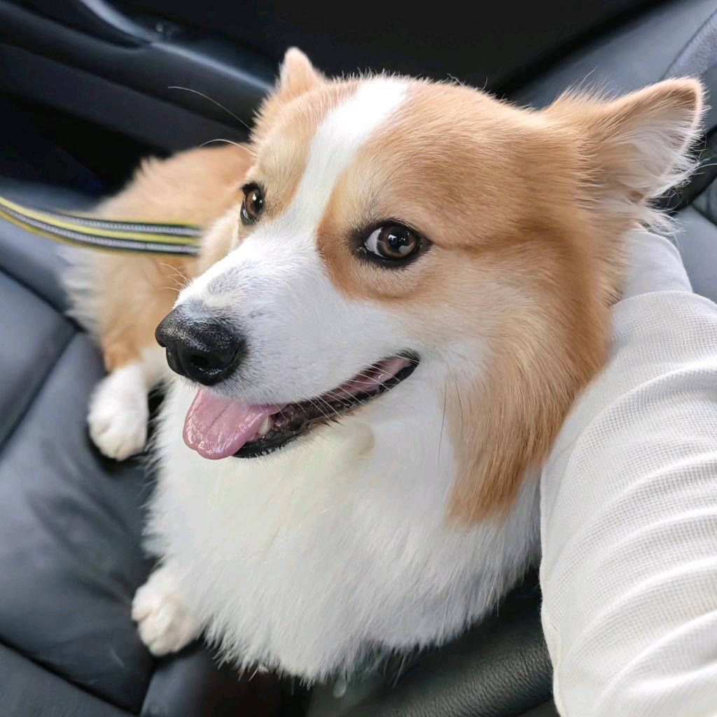 条条有爱嘟嘟店