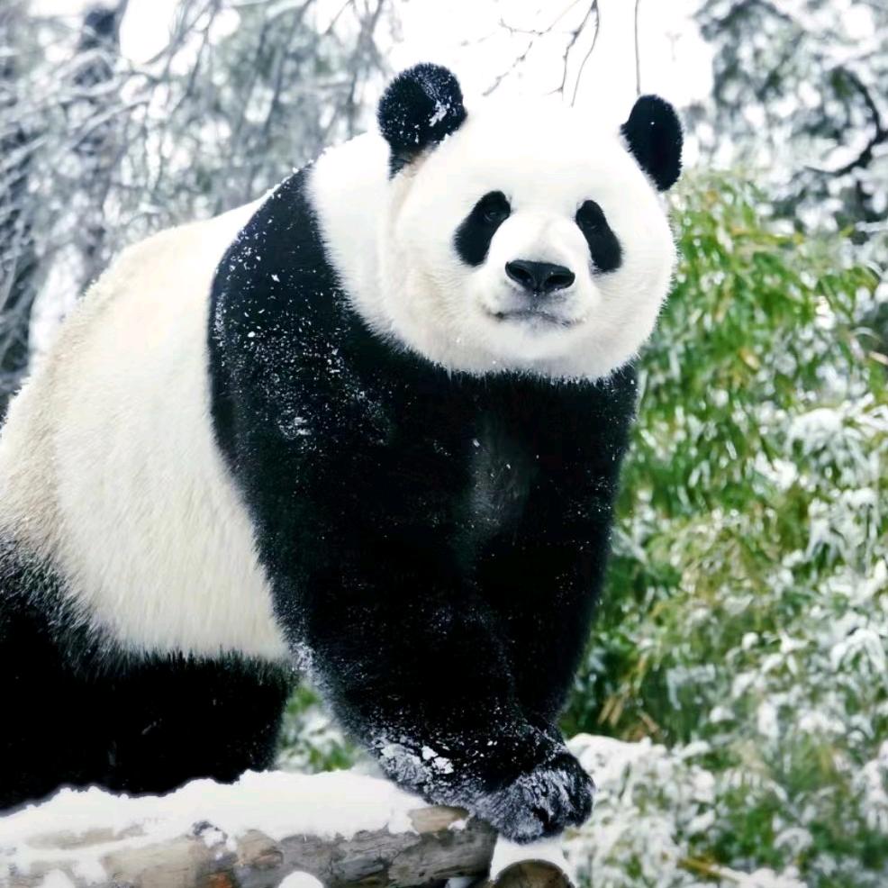 我是一片云☁️