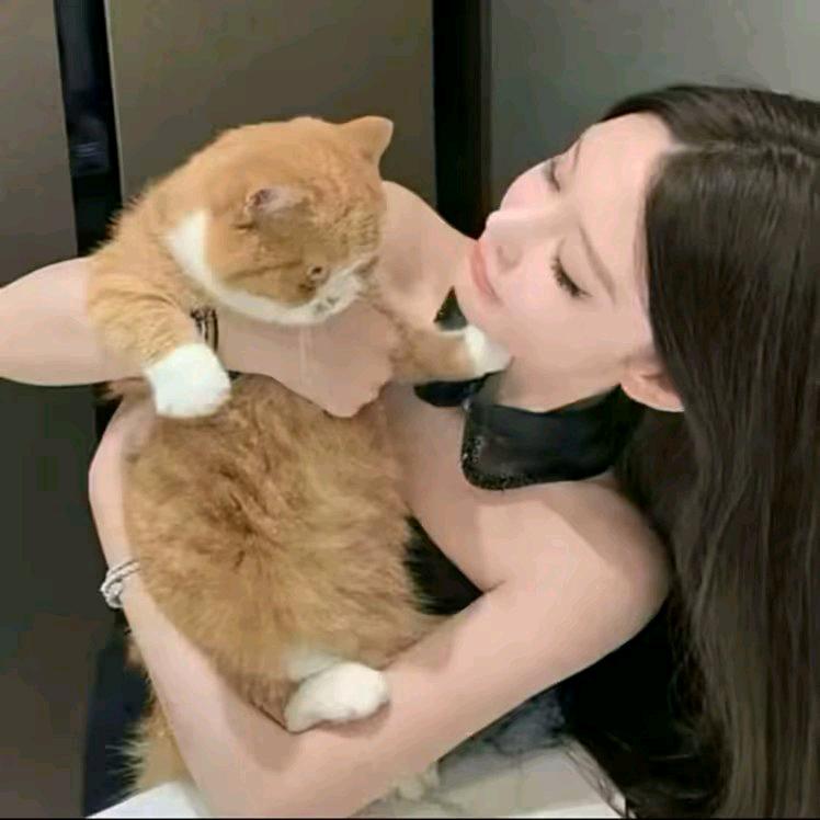 李少