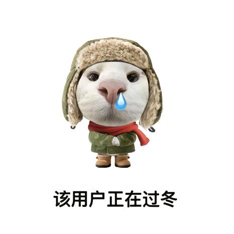 不是坤浩