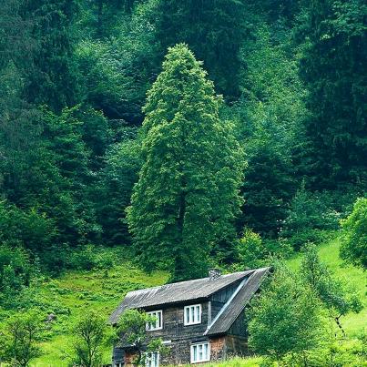 打渗水井去平乡，周边县