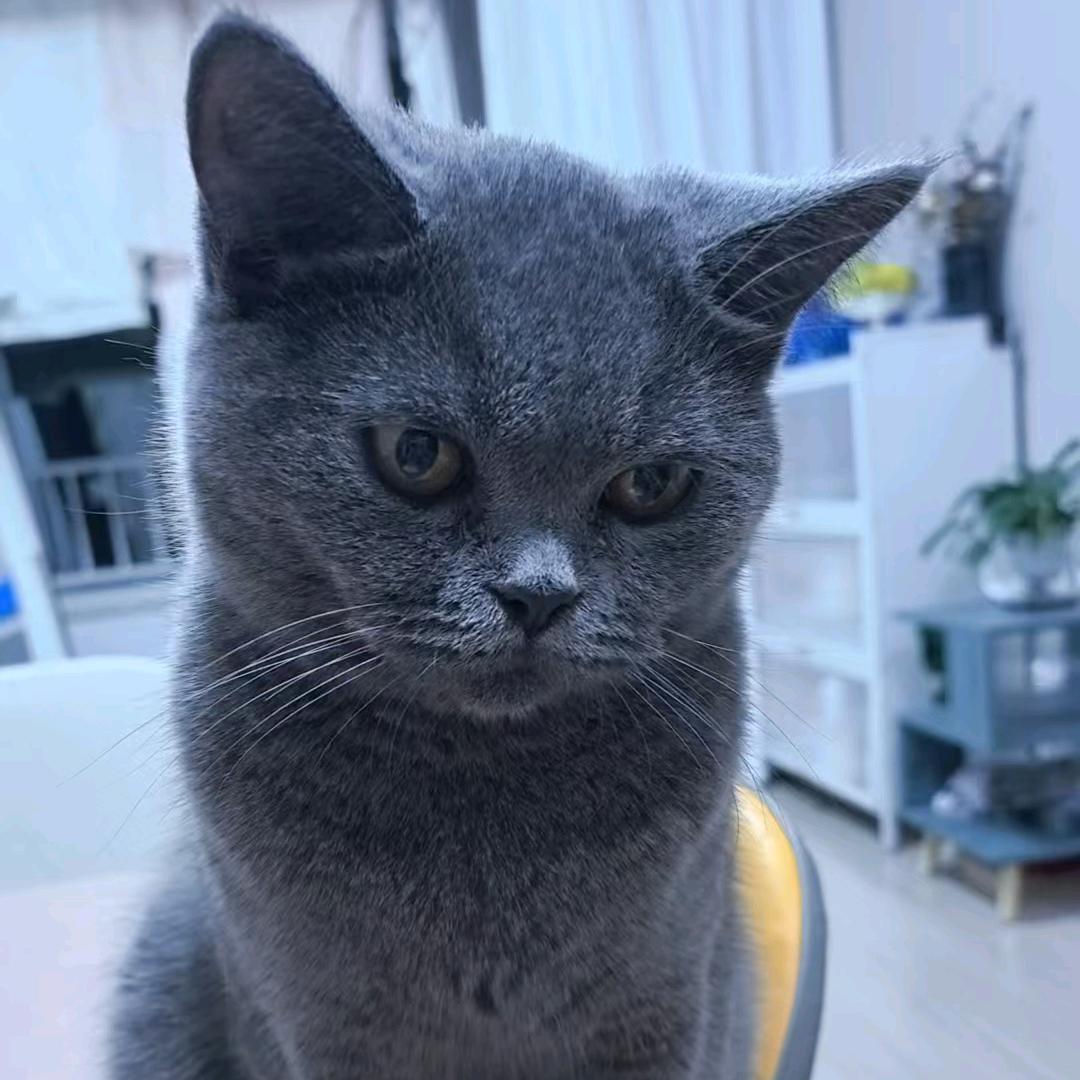 ❧活阎王❧曾帅