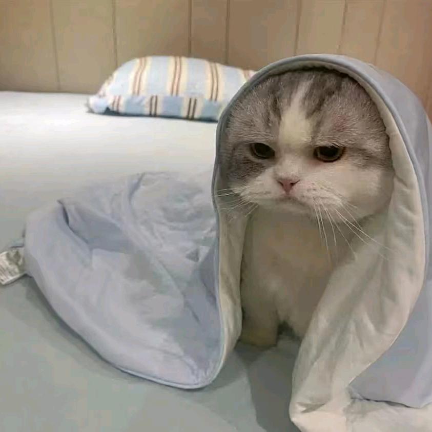 星落