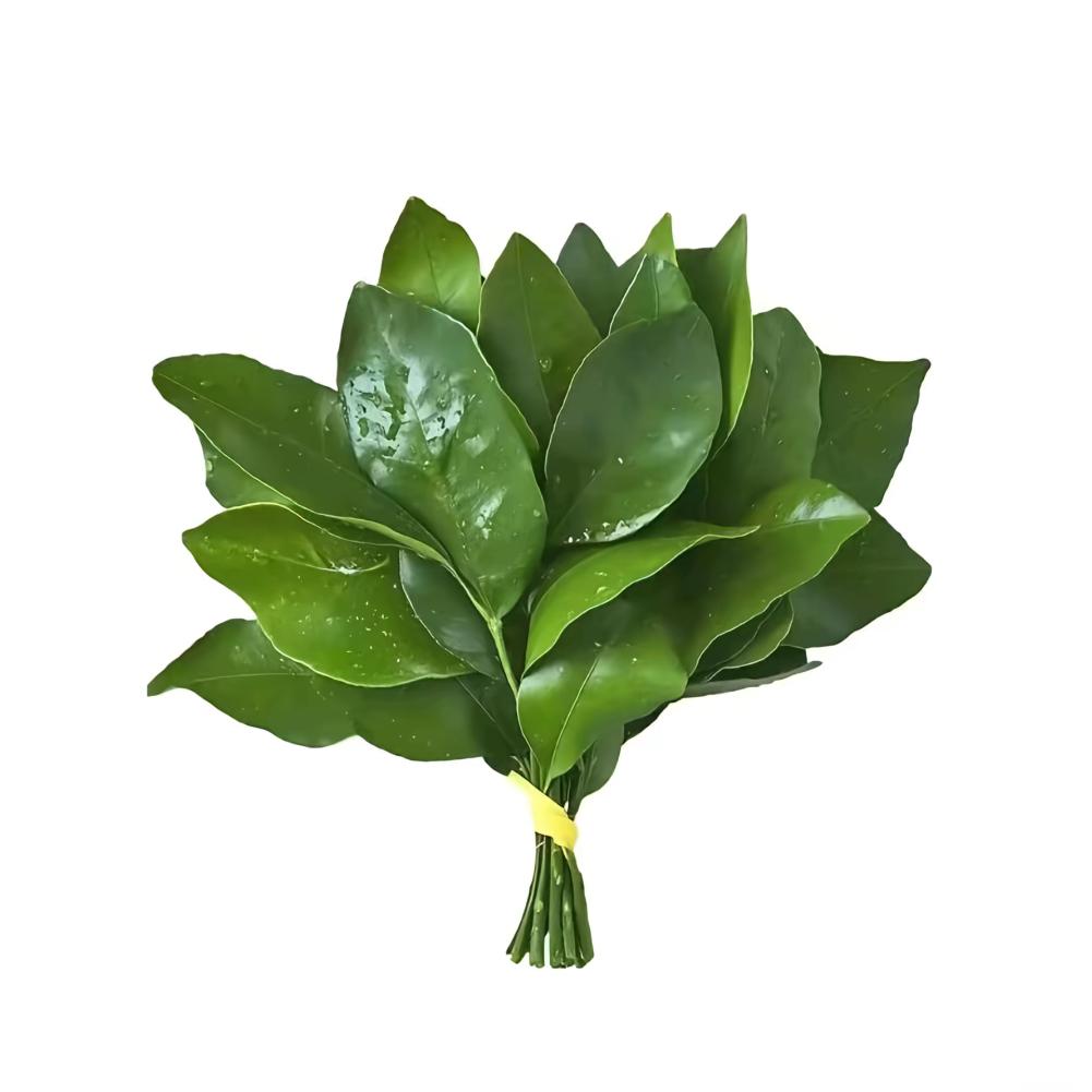 神明.㏑