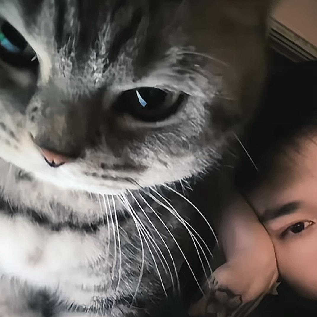 伦敦