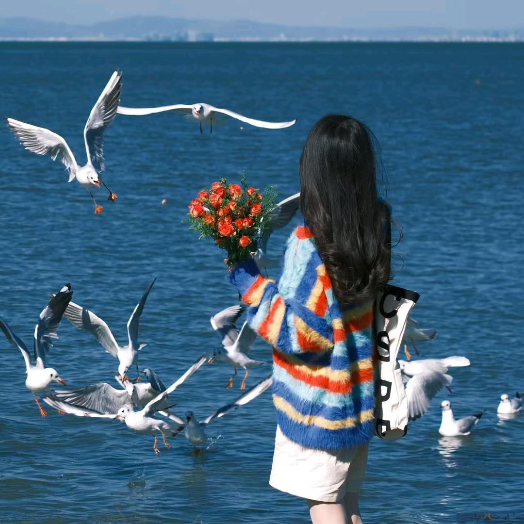 丽三丽江景明咨询