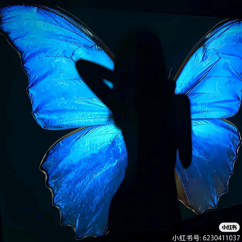 木子快乐频道