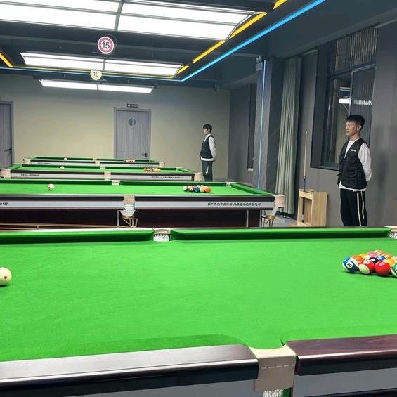 温莎尚郡B区易呈乔氏台球厅