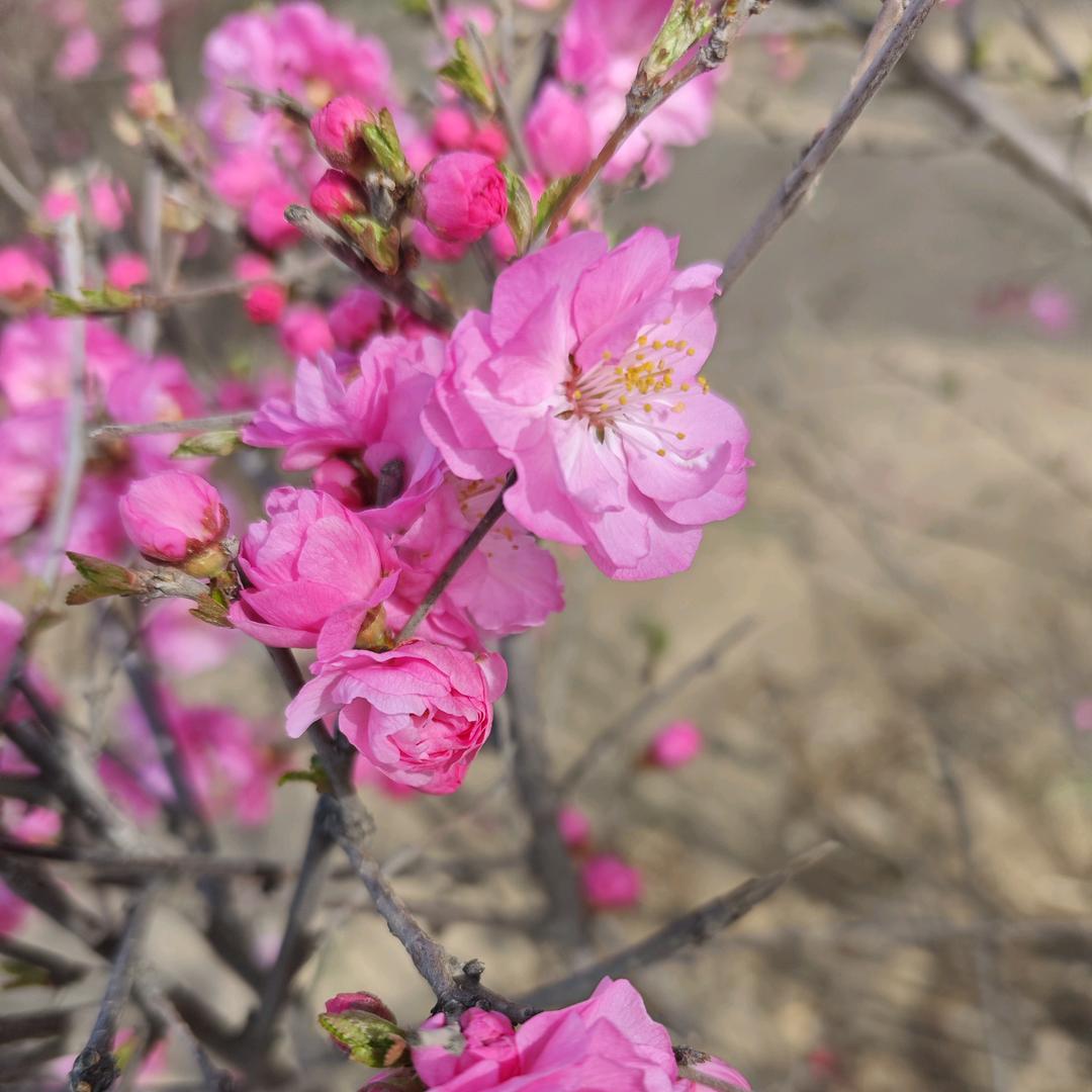 张小姐  百货🎀
