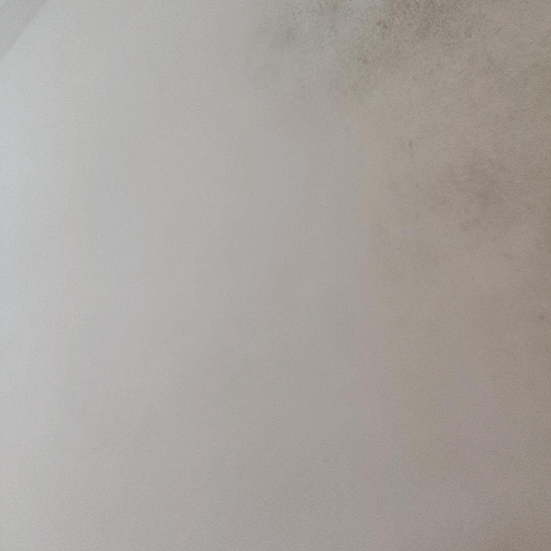 龙龙🐉