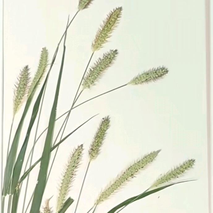 张老师书法工作室