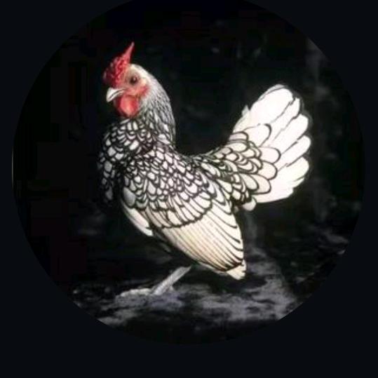 。茂顺家禽养殖技术