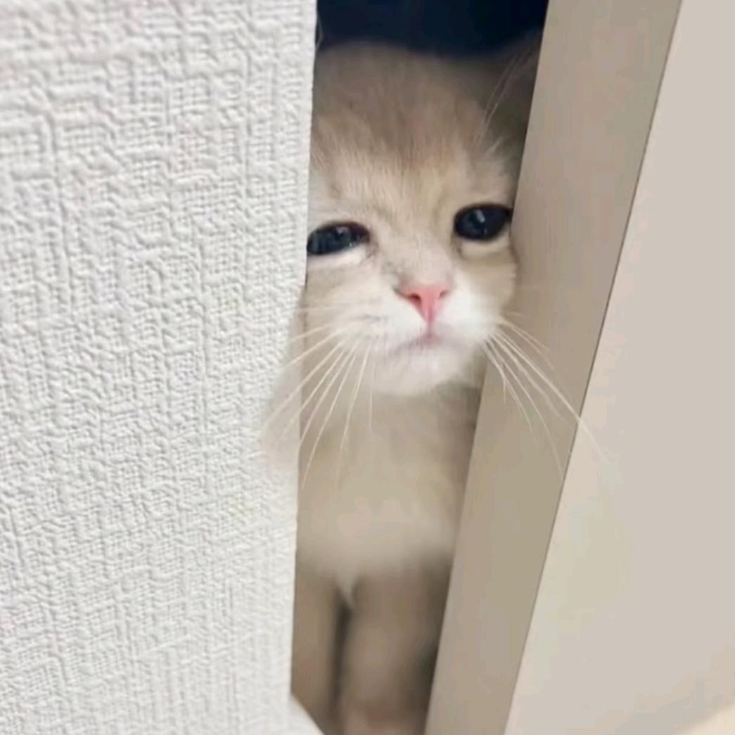 歪歪
