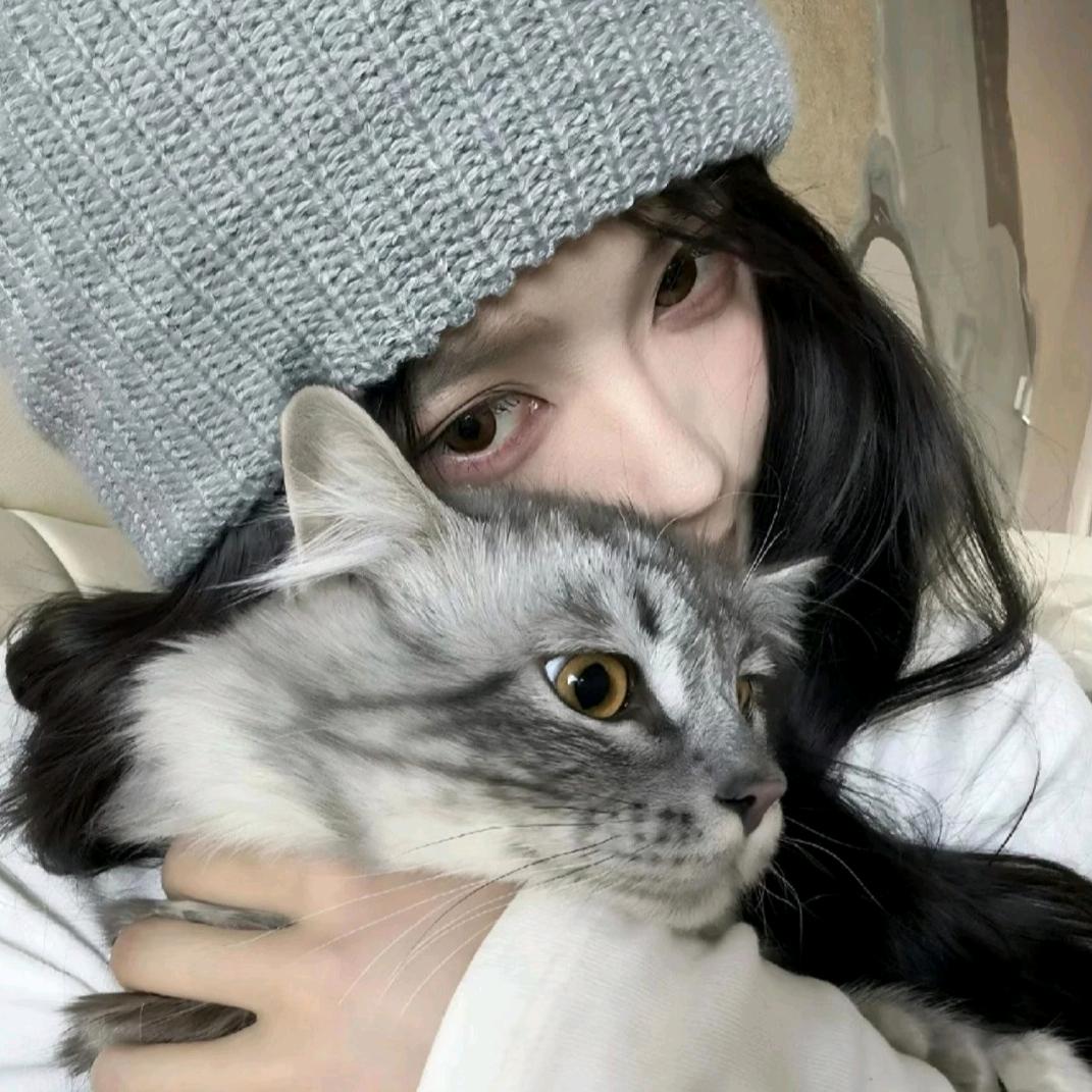 猫的六便士