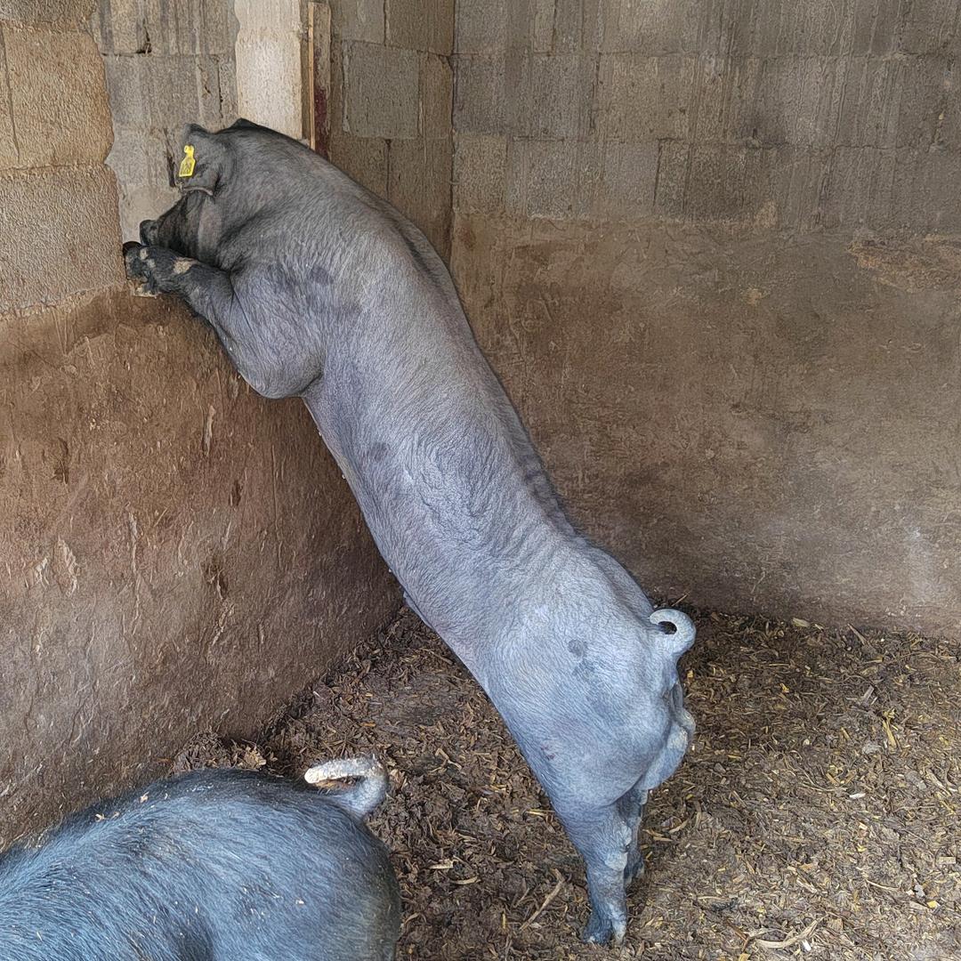 雲贵川‘$!’劉