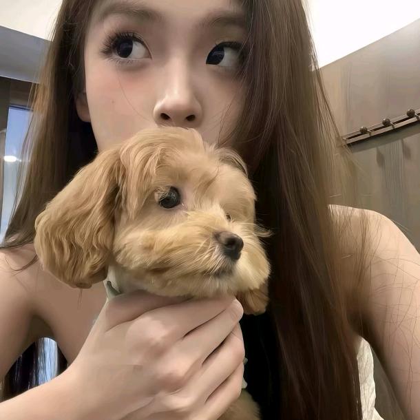 婷婷