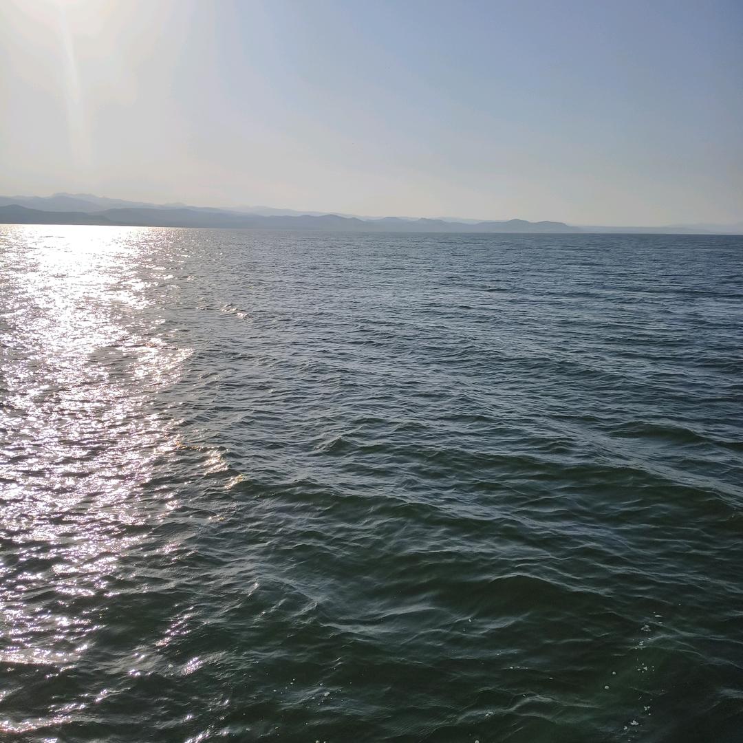 天天淅川。4555883388999