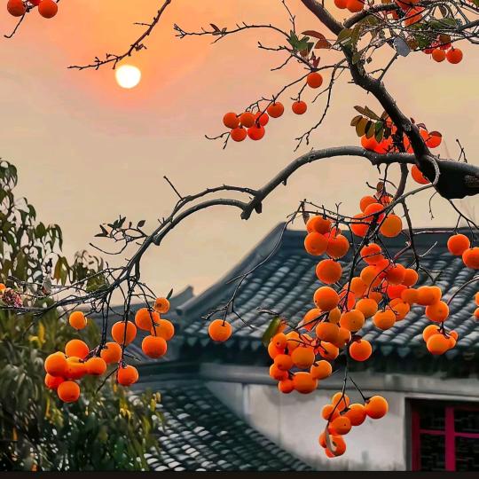 ༄福气小团子💞࿐