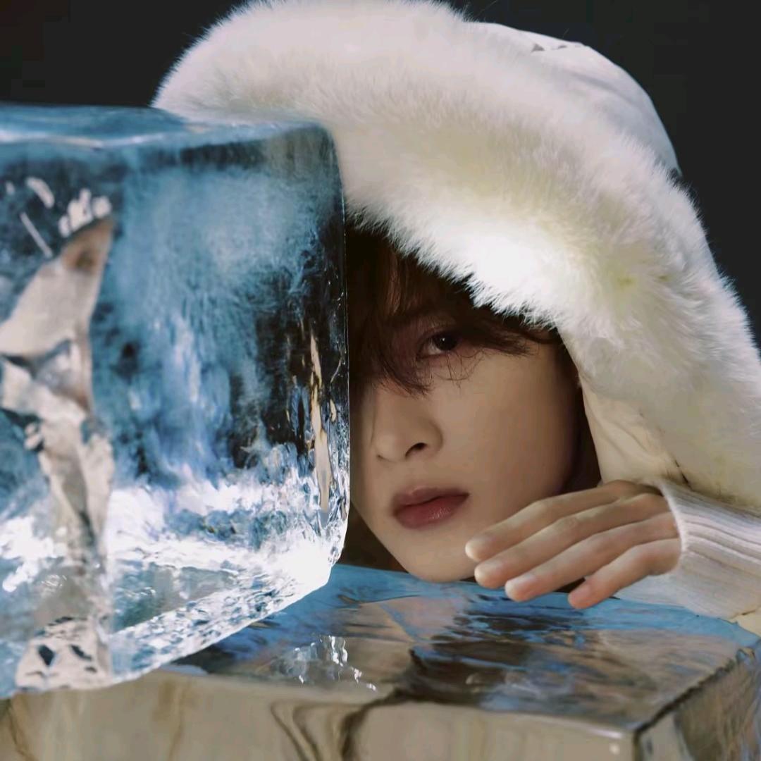 锦鲤（王闹闹）