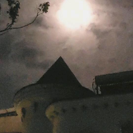 牛牛不是牛魔王