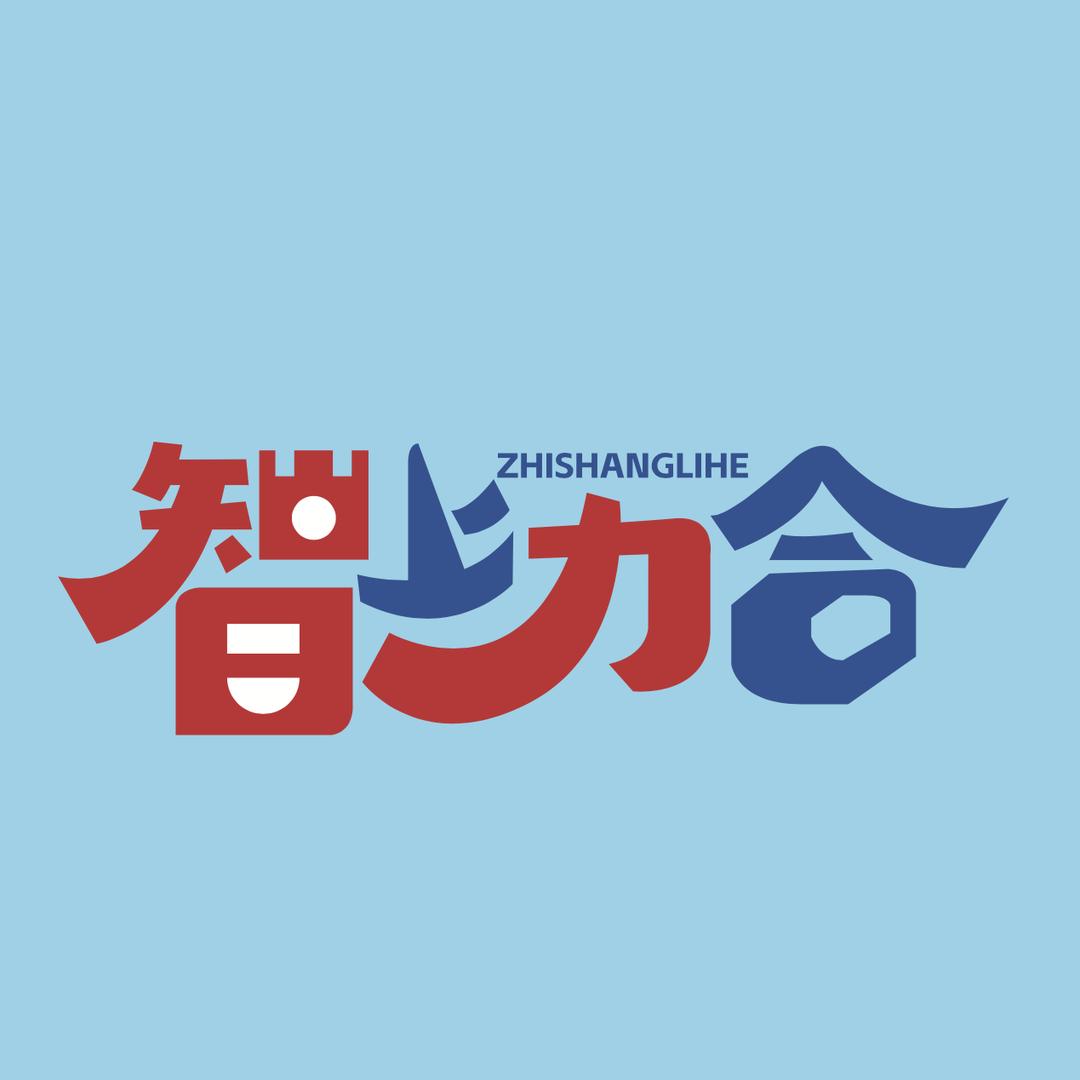 智上力合