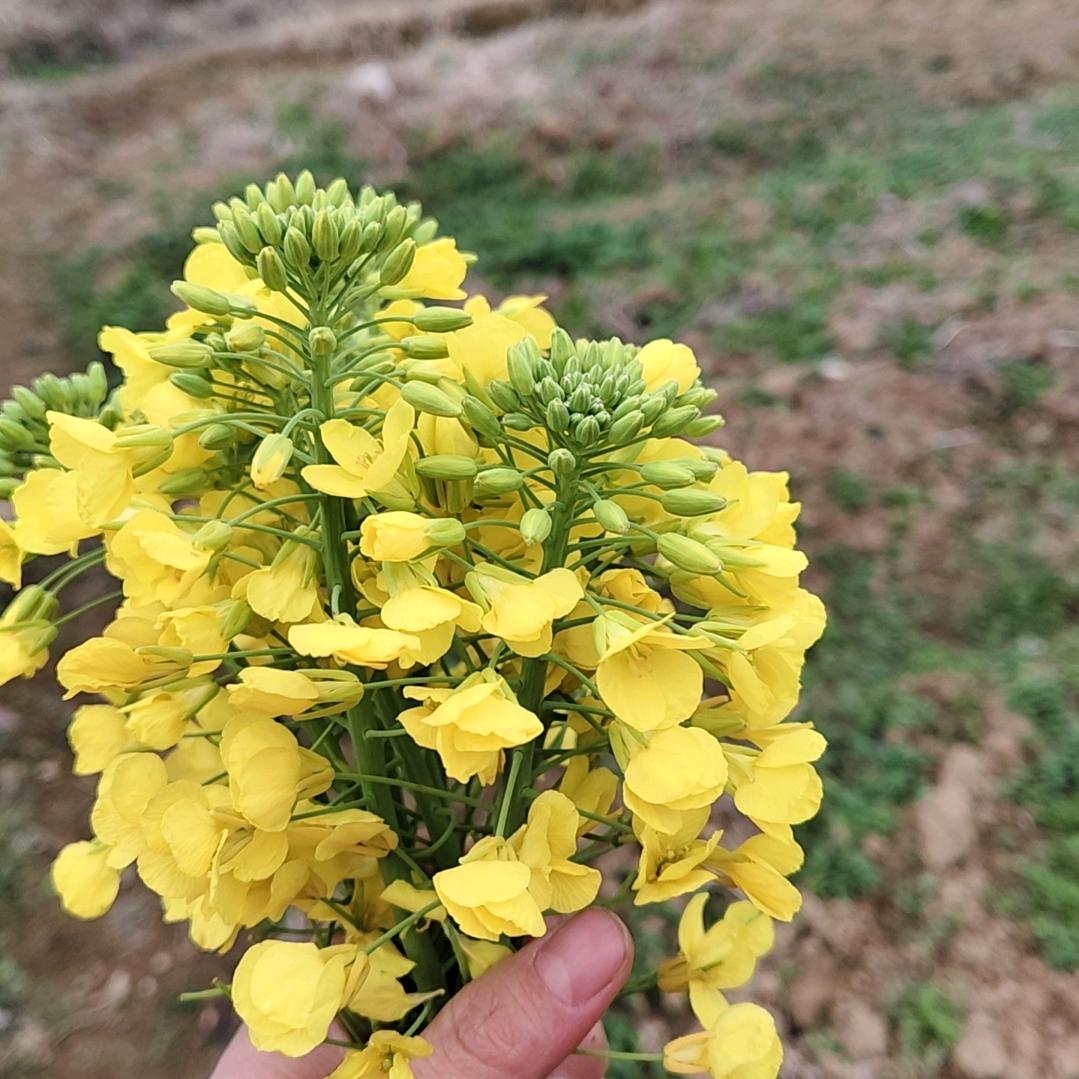 ༄༊࿆后来💞没有后来ღ᭄