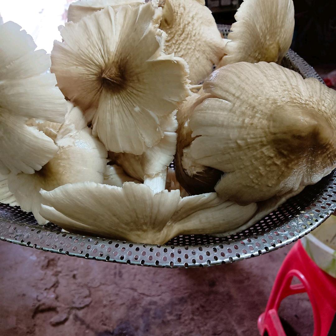 万万没想到