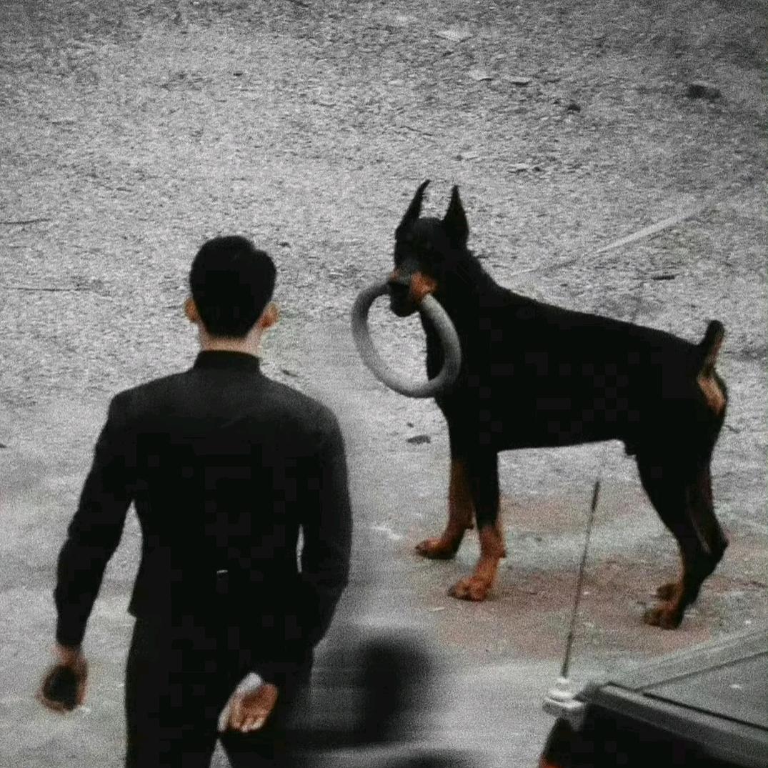 一条小小鱼