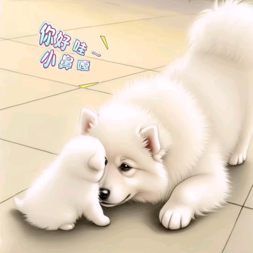 那就叫小王同学吧