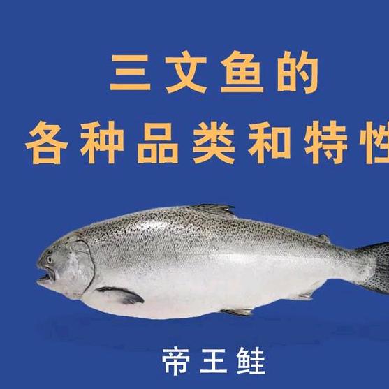 上海大海三文鱼供应链