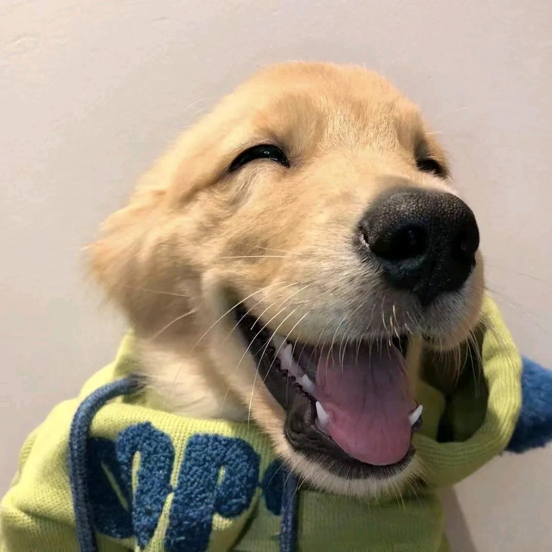 凹凸曼