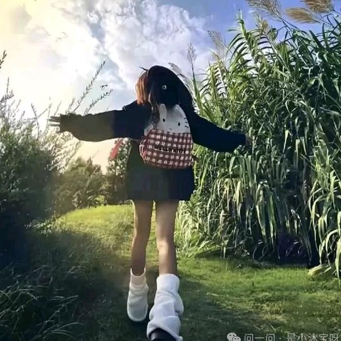 琵琶不吃香菇