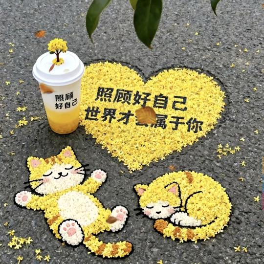 天空微晴