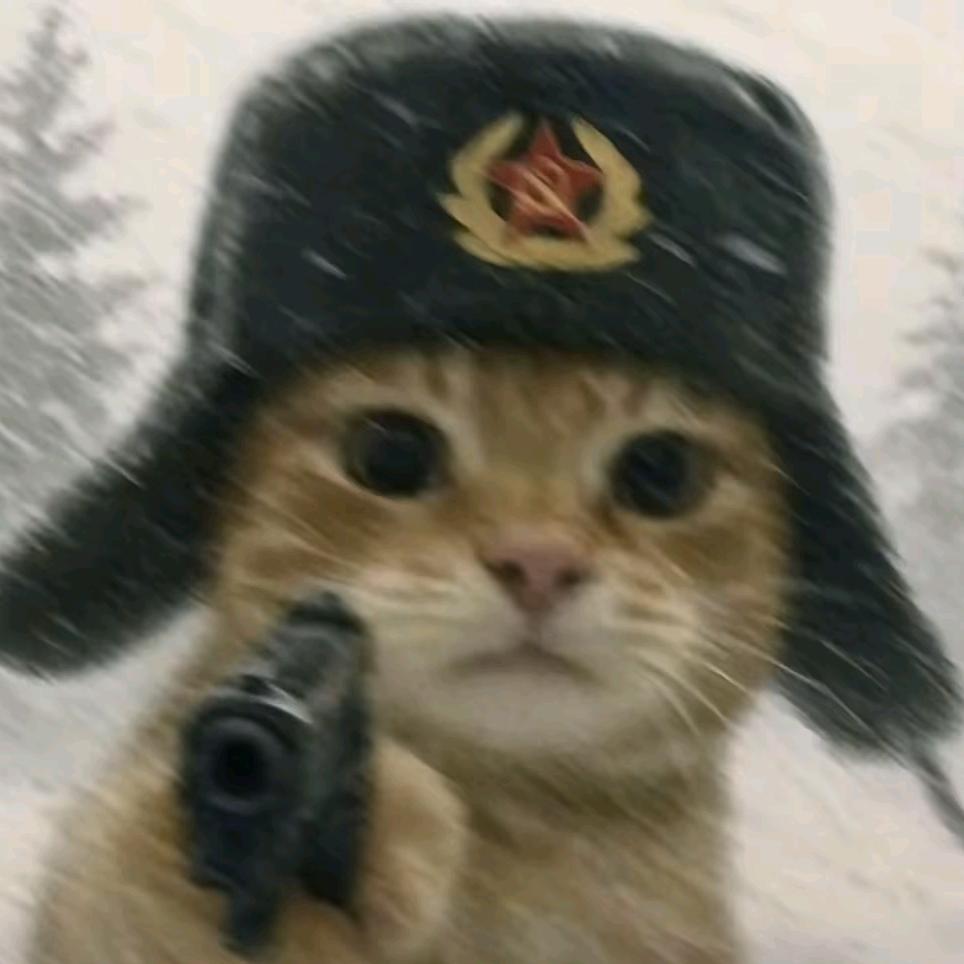 蚂蚁扛大炮