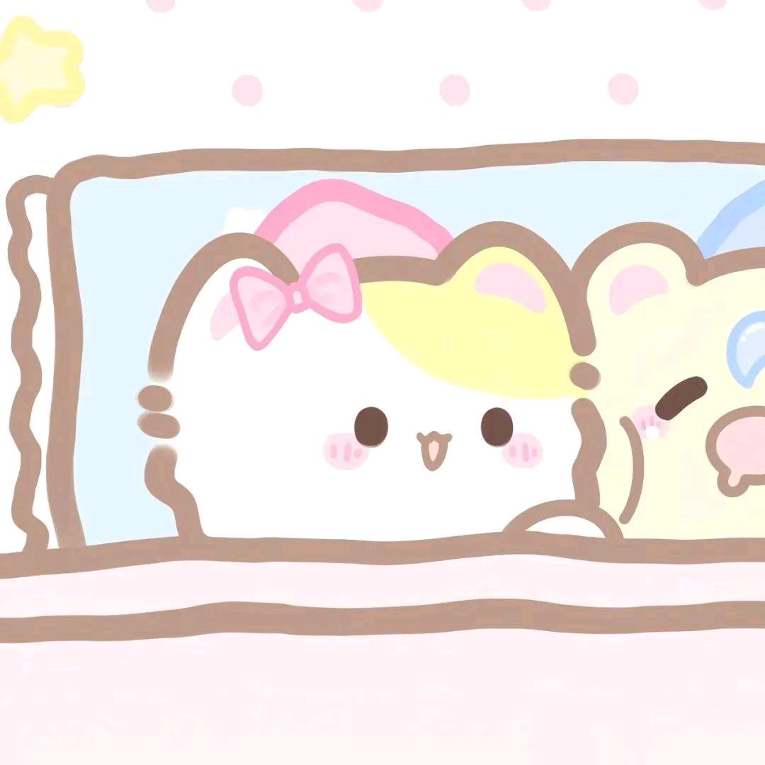 莓猫熊