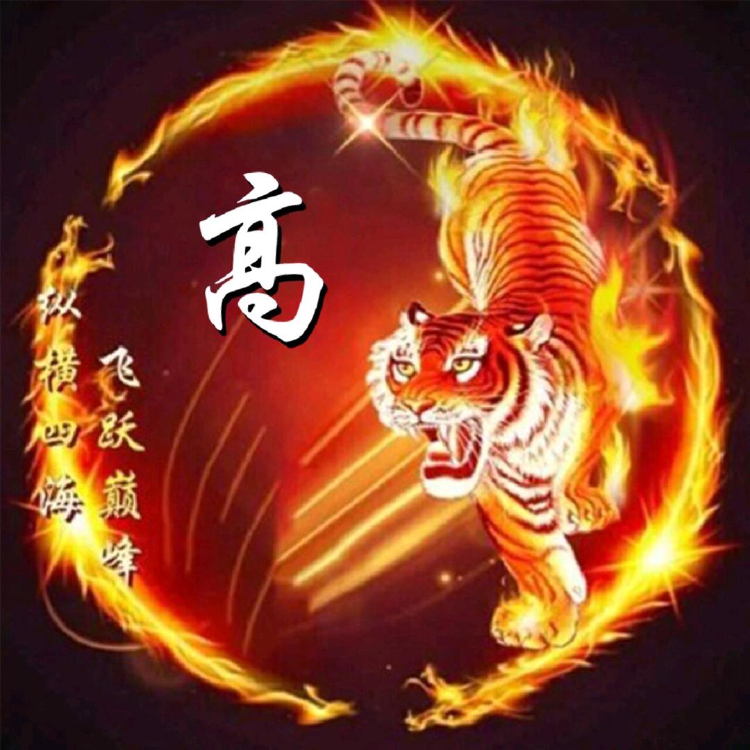 嗨嗨嗨