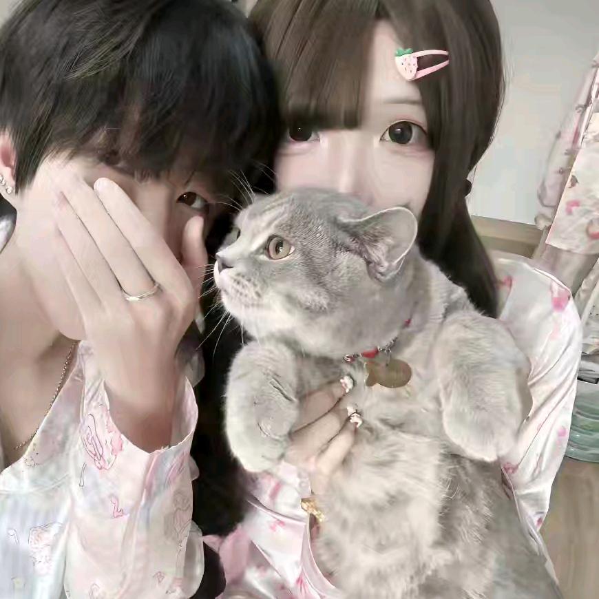 冷脸萌  ⍤⃝