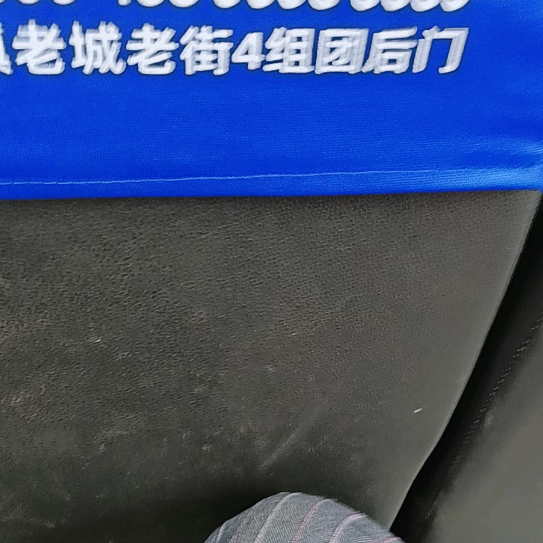 碟豹头像