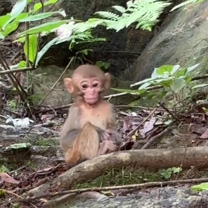 我只是个搬运工