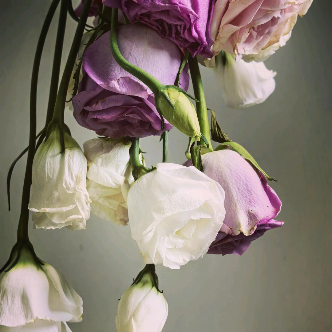 半哭半闹伴失落