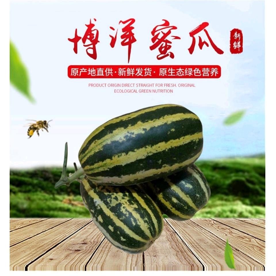 一果一粒生鲜供应链