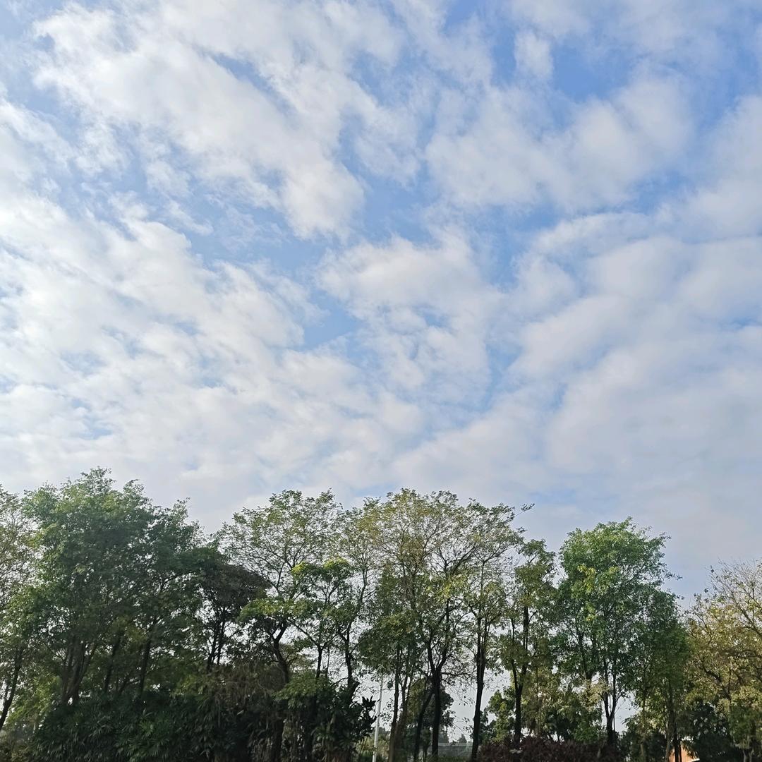 saiwen