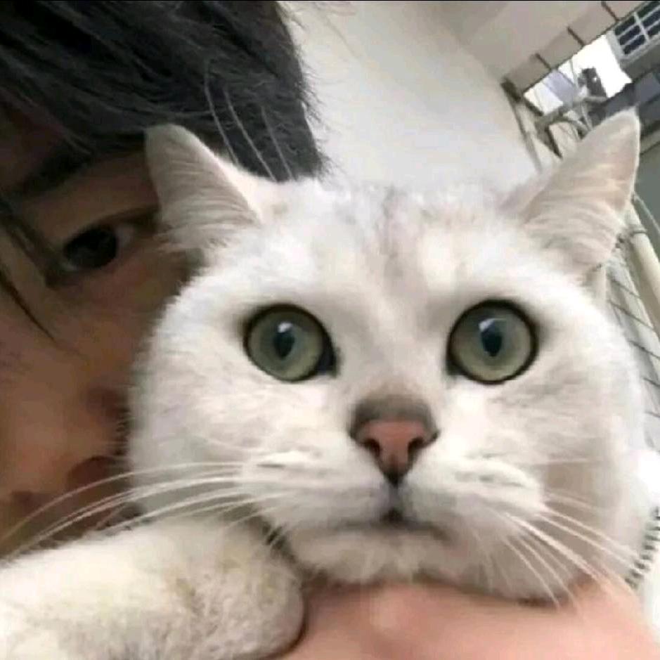 鱼鱼—我爱吃鱼