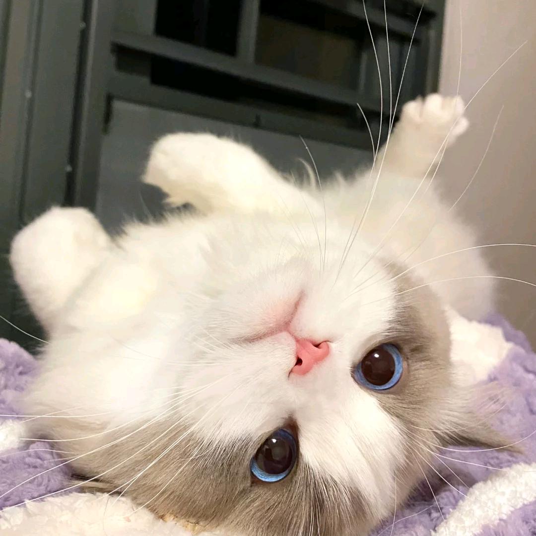 Andy安迪