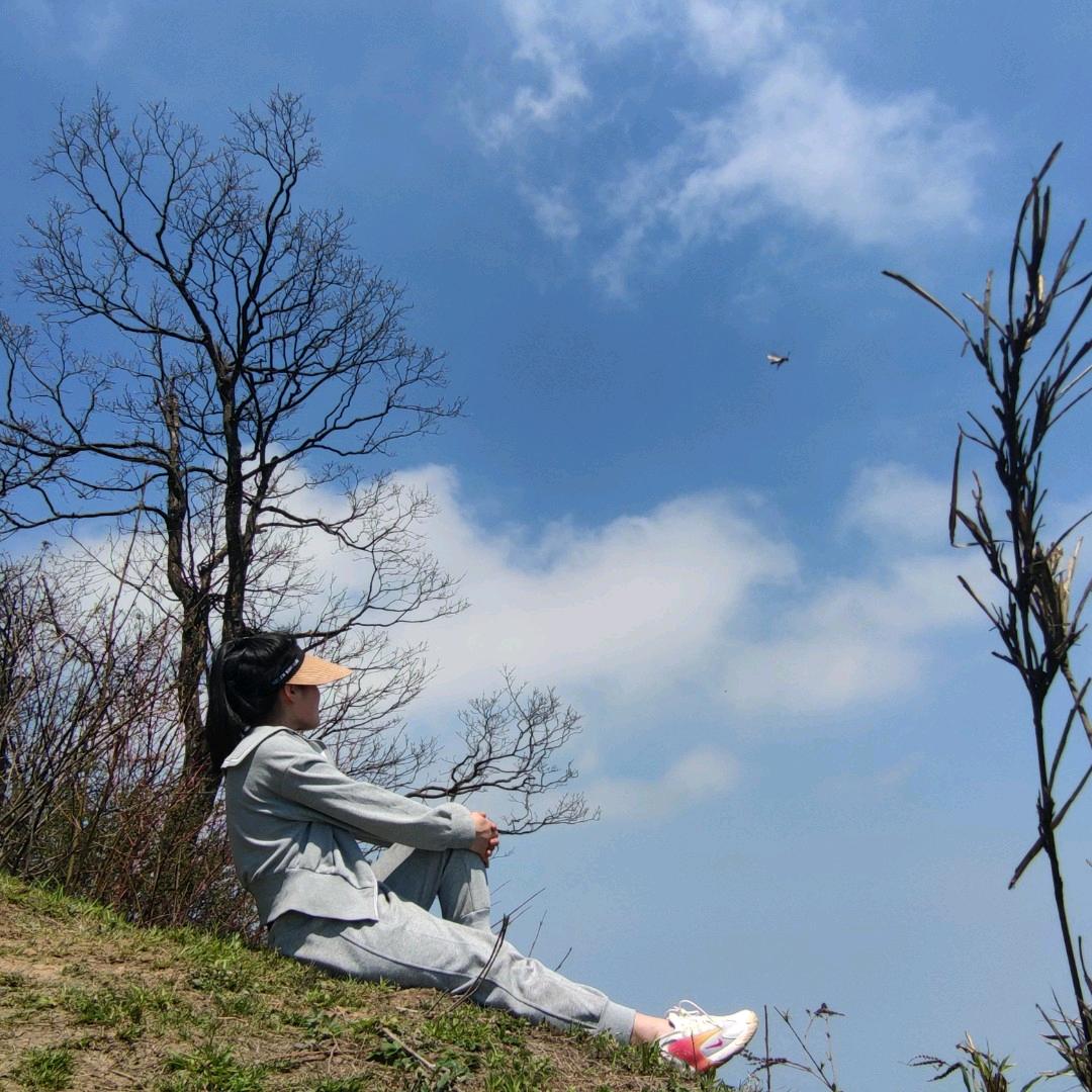 淼淼美食记