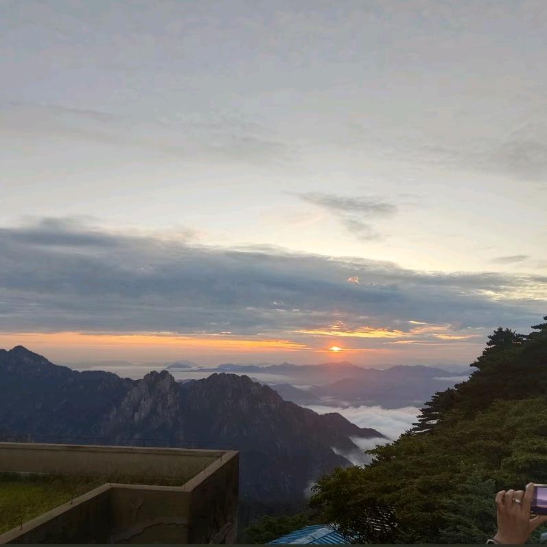 丽