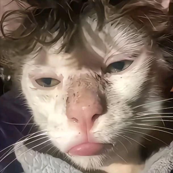 🌈吃饱饭干大仗